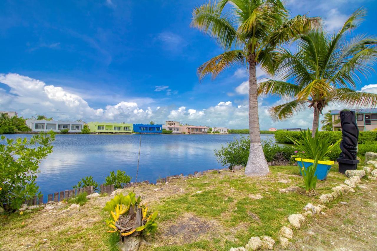 Suite I302 At Mara Laguna Gold Standard Certified San Pedro  Rum bild