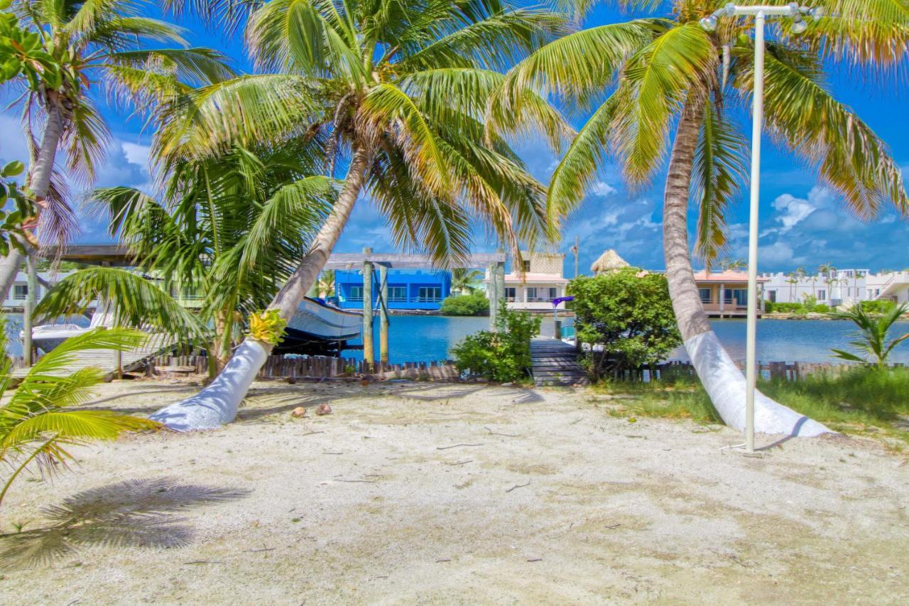 Suite I302 At Mara Laguna Gold Standard Certified San Pedro  Rum bild